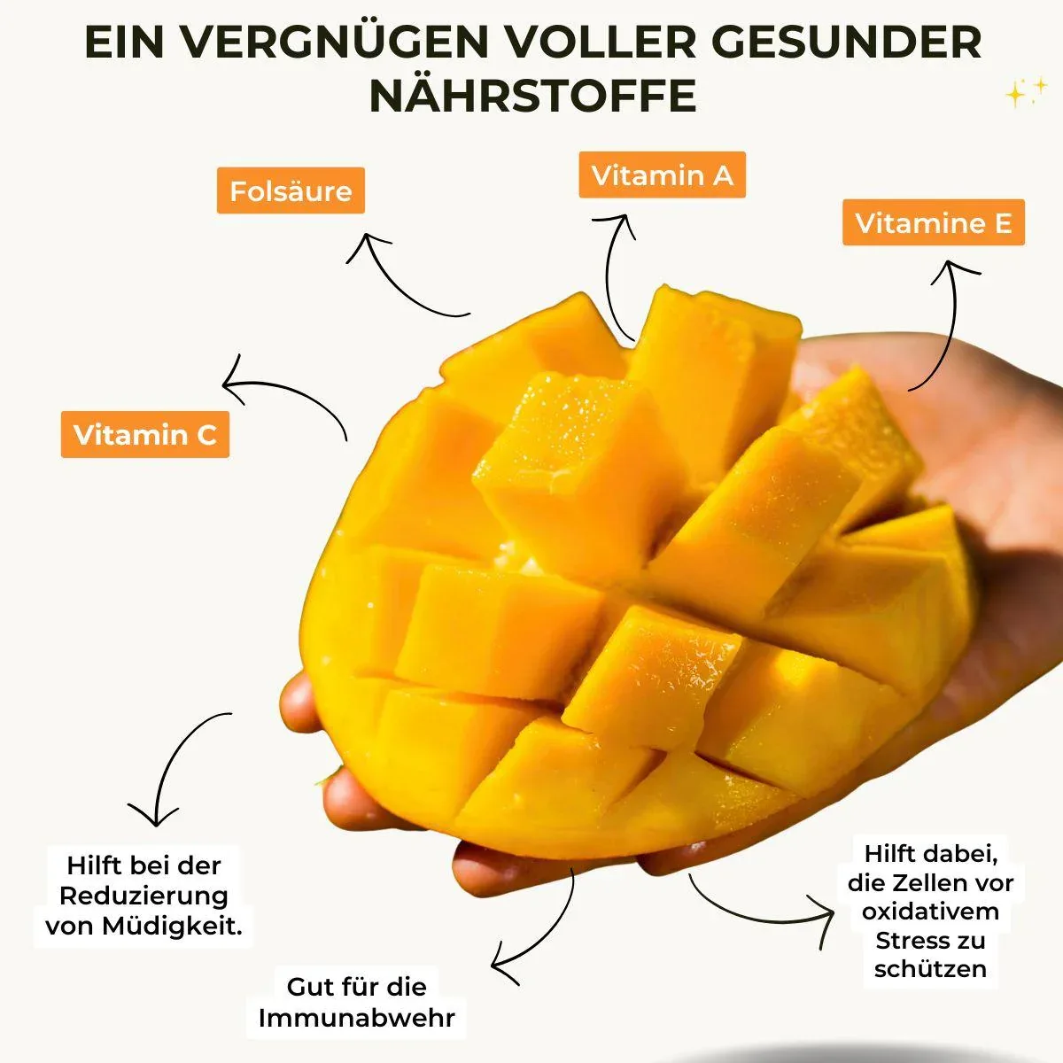 Mango Honig Ataulfo - Image 3