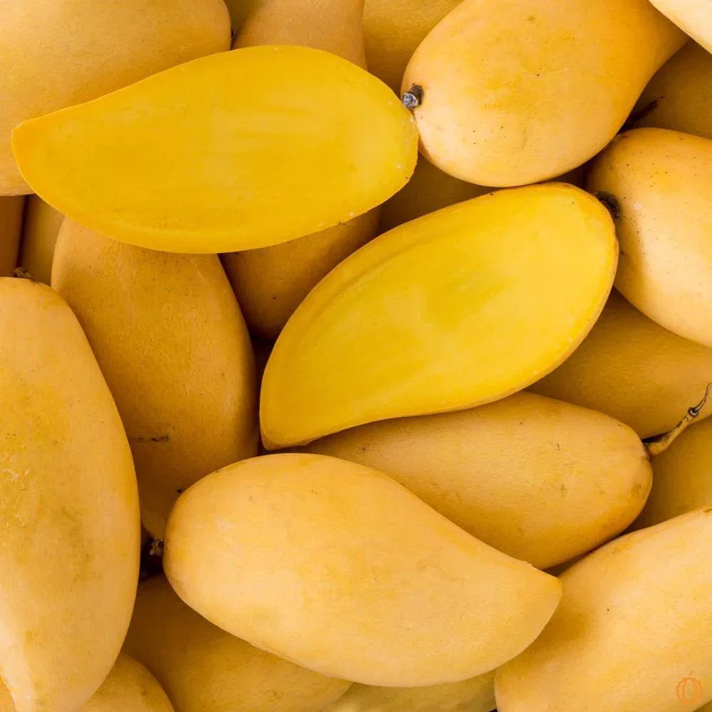 Mango Nam Dok Mai - Image 9