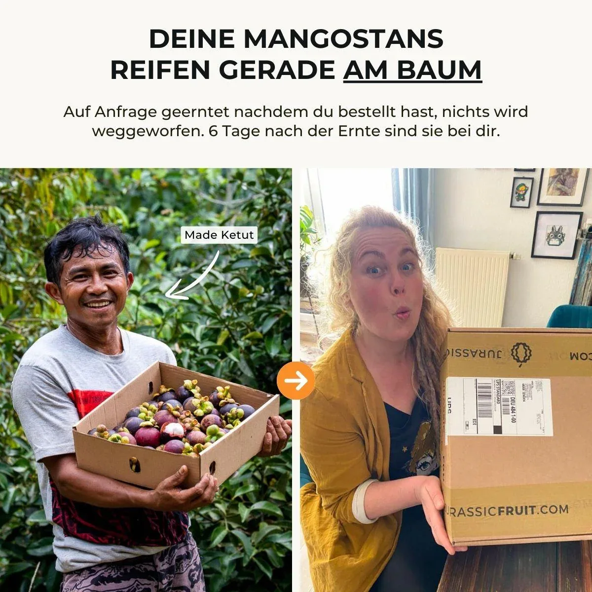 Mangostan - Image 4