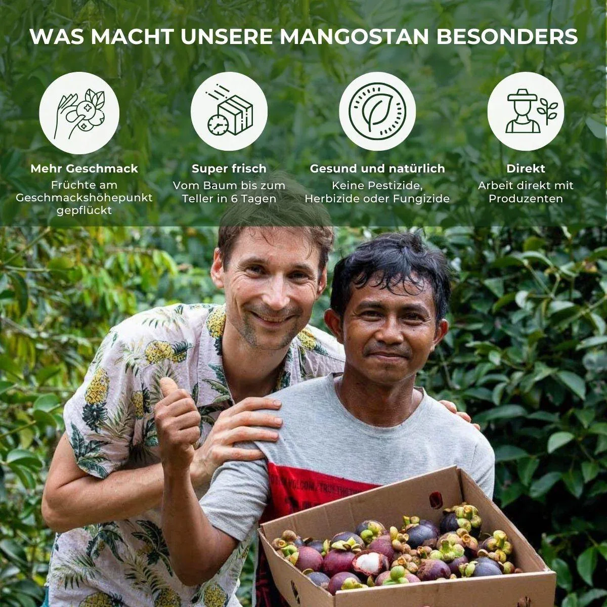 Mangostan - Image 5