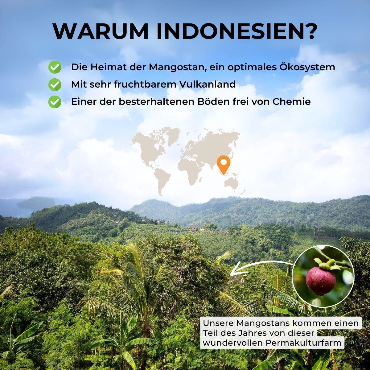 Mangostan - Image 7