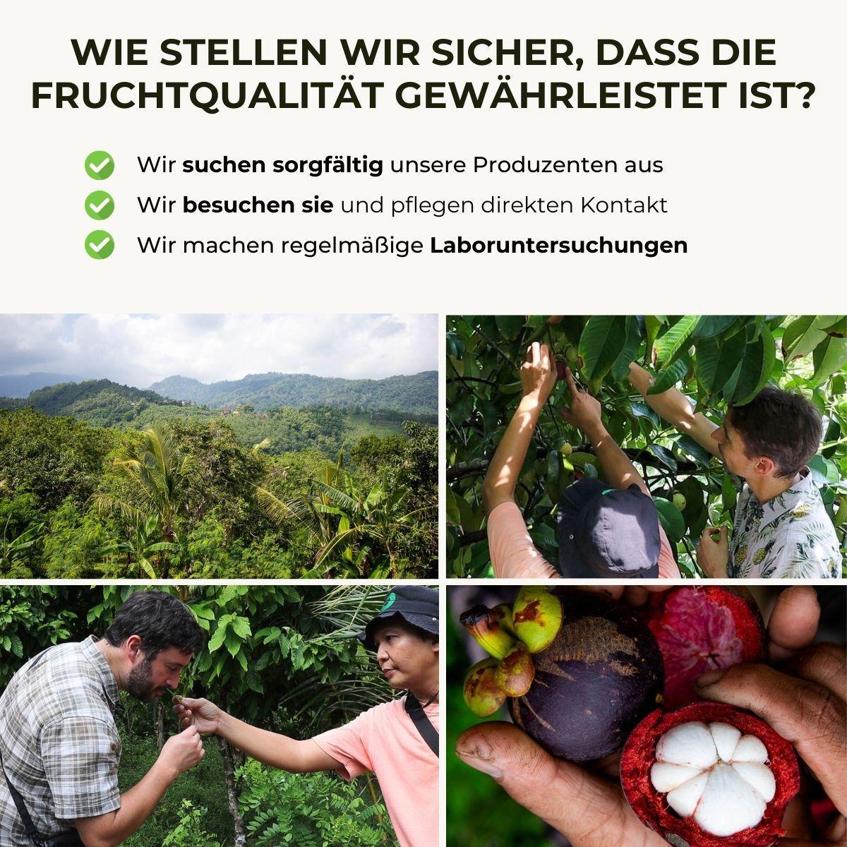 Mangostan - Image 8
