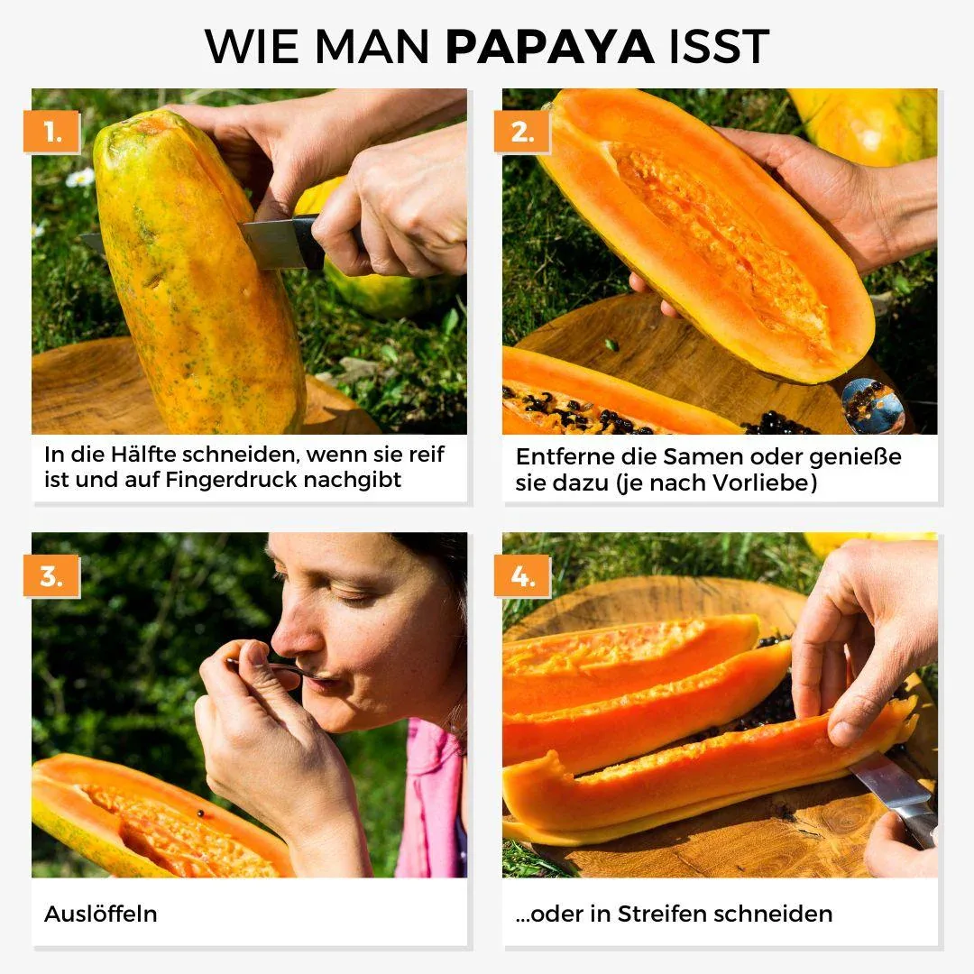 Papaya Nila - Image 4