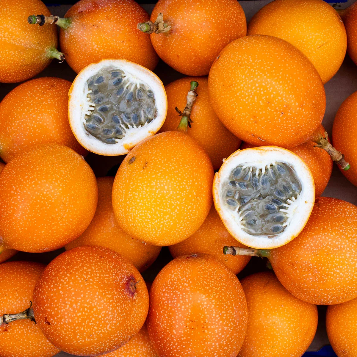 Süße Granadilla - Image 16